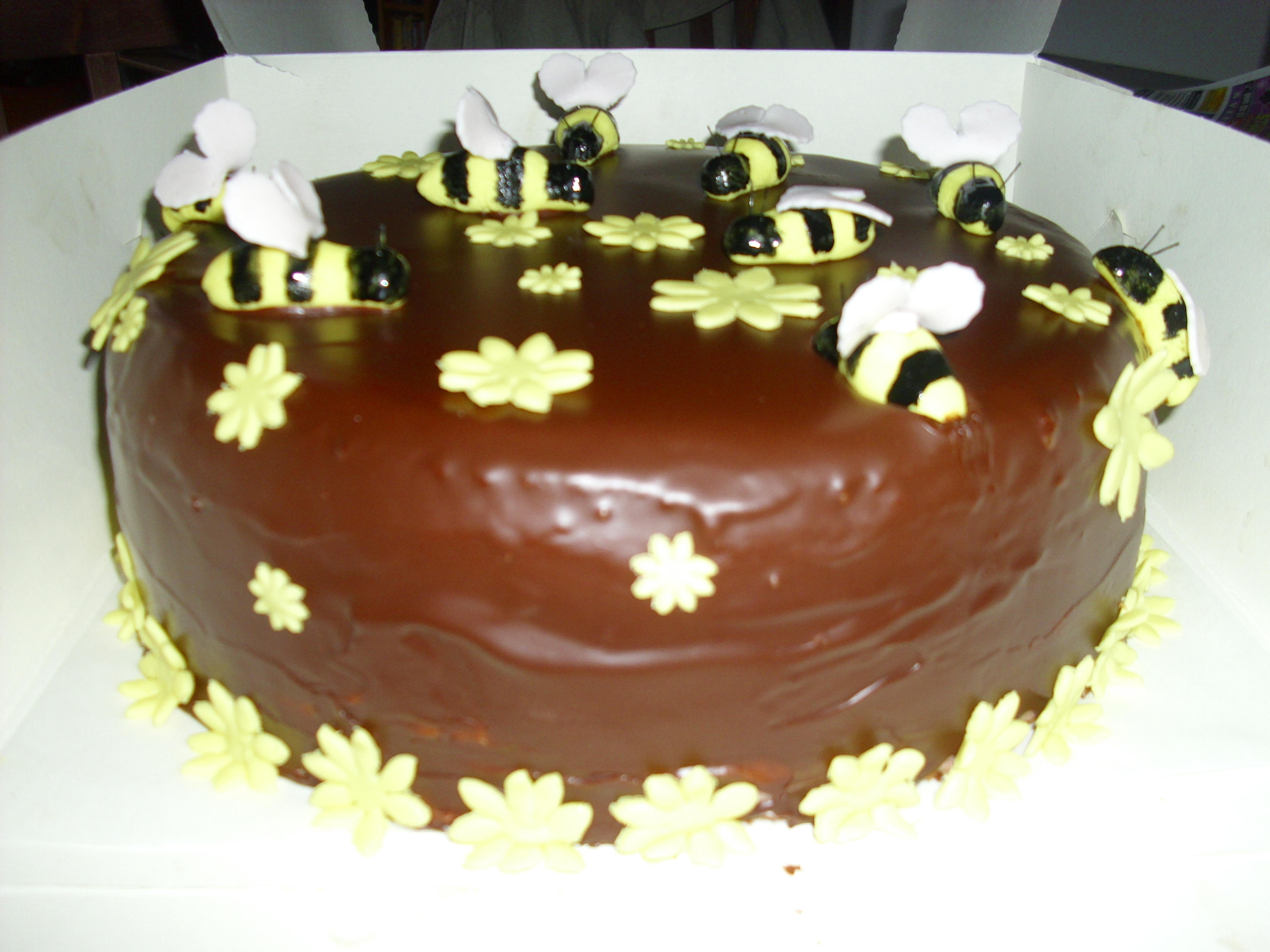 vcielka (4)